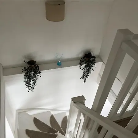 Rubis - Jacuzzi - Pairi Daiza - 6 Pers * Brugelette