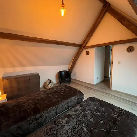 Rubis - Jacuzzi - Pairi Daiza - 6 Pers