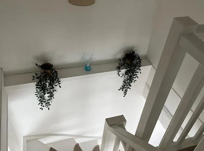 Rubis - Jacuzzi - Pairi Daiza - 6 Pers * ブリュージュレット