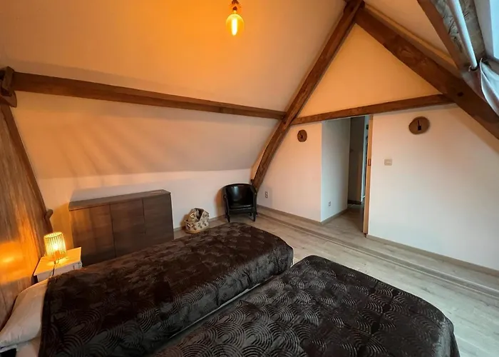 Rubis - Jacuzzi - Pairi Daiza - 6 Pers