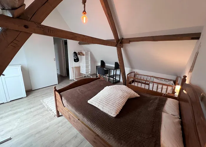 Rubis - Jacuzzi - Pairi Daiza - 6 Pers